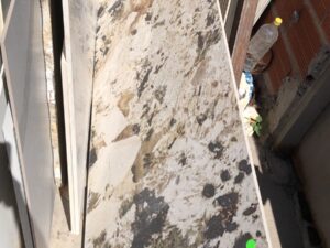 Purastone prima alpinus